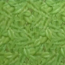 Display Paper 1.2m x 3.6m Tropical Foliage