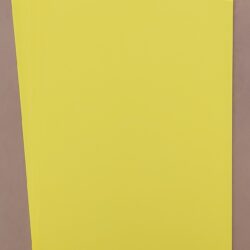 A4 Card 100pk Daffodil Yellow