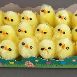 Mini Chicks