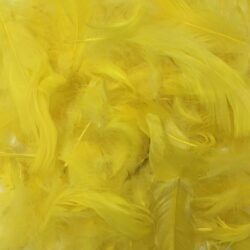 Feathers 25g  Yellow