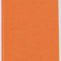Tissue Paper - Orange 75x50cm 10pk